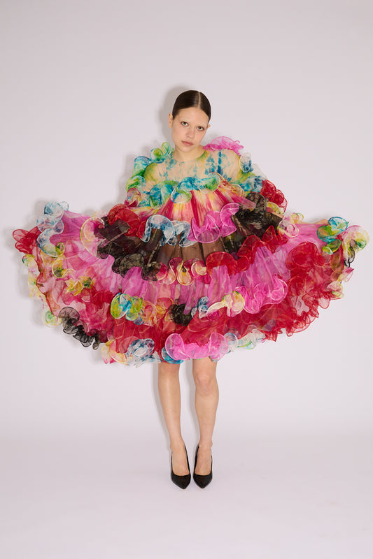 Divine Ruffles Dress