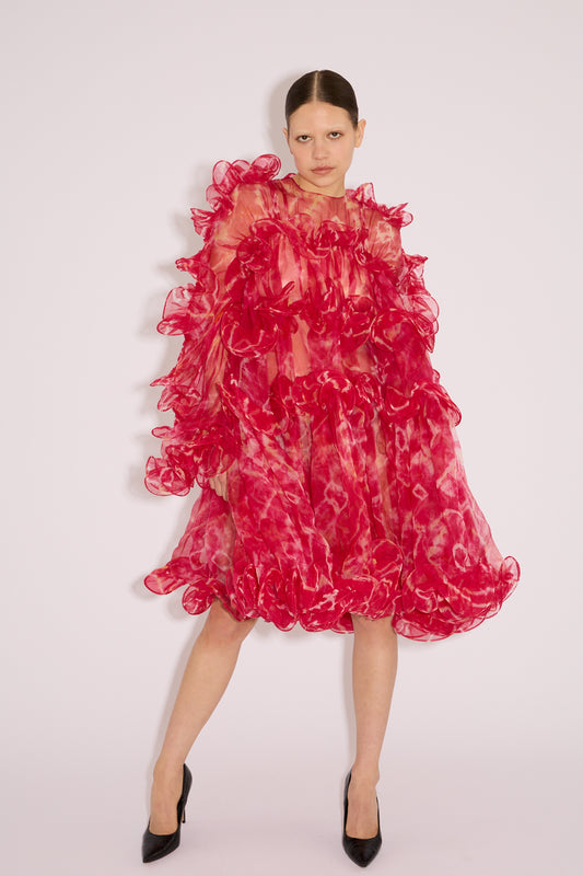 Divine Ruffles Dress