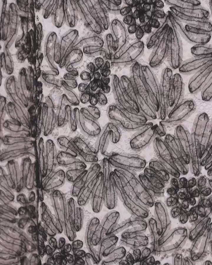 Floral Lace T-Shirt