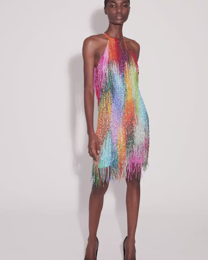 Holi Fringe Dress